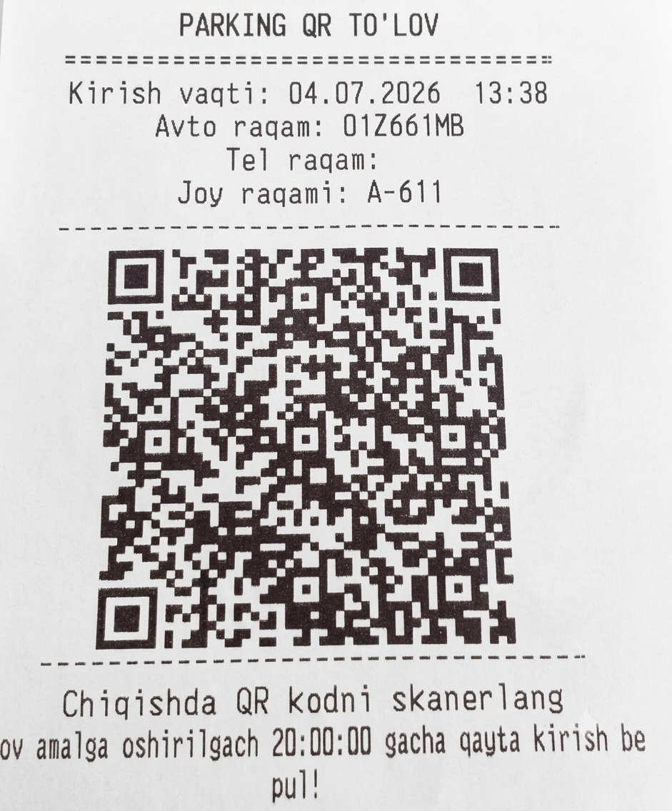 Namunaviy parkovka chiptasi